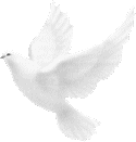 sticker_28854455_39039697