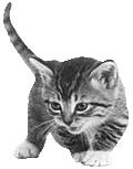 sticker_12547828_23147698