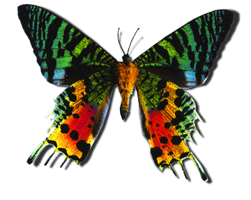 sticker_9360210_38189133