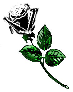 sticker_26434576_35932493