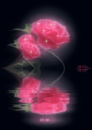 sticker_15728057_23330443