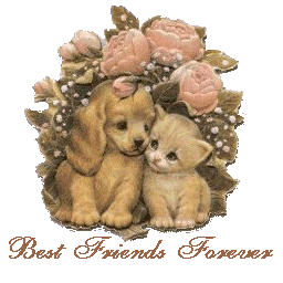sticker_7935157_37071038