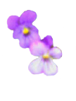 sticker_14158913_21793160