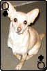 sticker_12602213_30809067