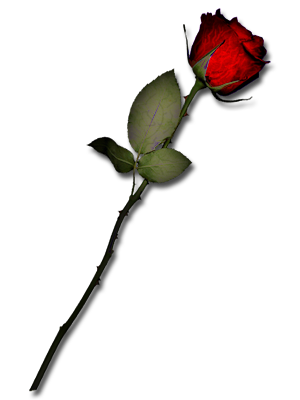 sticker_6059222_8018800
