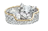 sticker_11914440_47590639