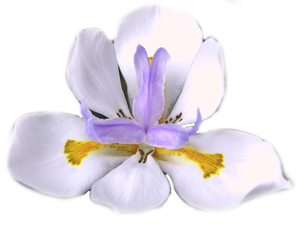 sticker_18040982_32903602