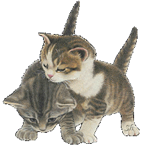 sticker_10577258_40839768