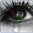 sticker_15608356_32659165