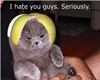 sticker_27275556_36907898