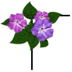 sticker_1134263_4312214