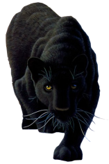 sticker_17957155_41749385