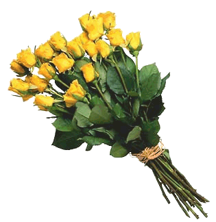 sticker_16943652_34891925