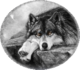 sticker_12547793_24158956