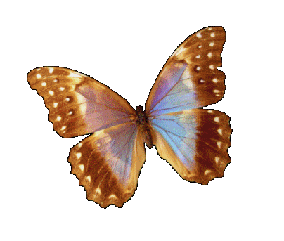 sticker_9878668_16932426