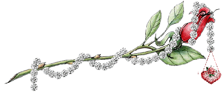 sticker_23012953_38715981