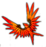 sticker_791853_2381292