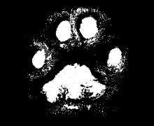 sticker_7424160_33449595