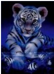 sticker_23609202_39158807