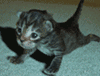sticker_5285557_36042978