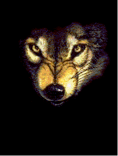 sticker_566846_6011909