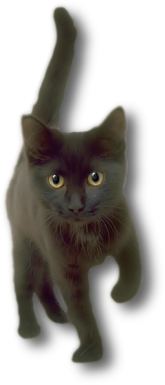 sticker_791853_43877252