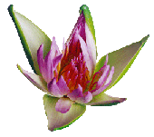 sticker_17771681_44036034