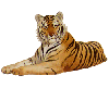 sticker_6015091_9571949