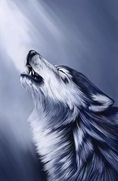 sticker_18078123_28098822