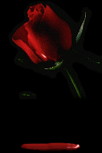 sticker_16577908_23736595
