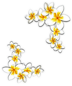 sticker_1164371_17113017