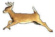 sticker_5412502_44357578
