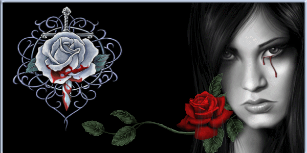 sticker_2334077_18148893
