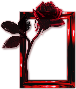 sticker_18193128_29098811