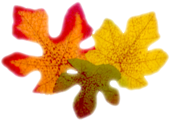 sticker_8021294_21954978