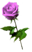 sticker_3282443_34952502