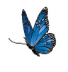 sticker_8192638_29632927