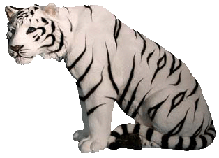 sticker_20736996_38359938