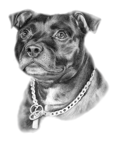 sticker_17369581_37239152