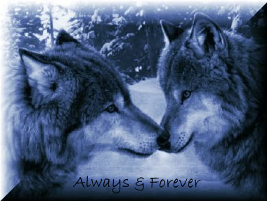 sticker_17095093_28955682