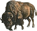 sticker_15799849_28699886