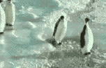 sticker_1606782_41178649