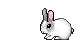 sticker_8810064_41203086