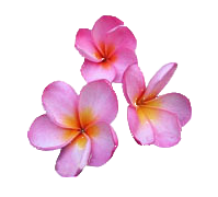 sticker_9147000_22073989