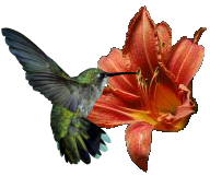 sticker_22587919_31277029