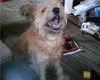 sticker_22315691_30959728