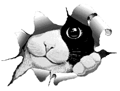 sticker_12610675_28650514