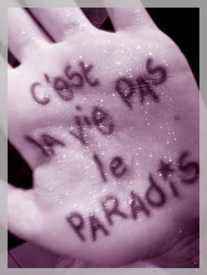 sticker_25367501_40797144