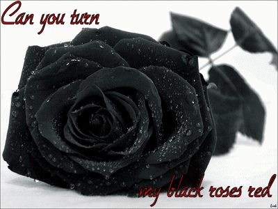 sticker_21834330_35329002