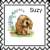 sticker_25214197_38382678